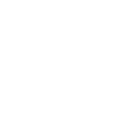 Tax Consulting